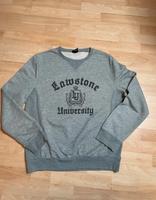 Herren Pullover Pulli Gr. L H&M Nordrhein-Westfalen - Erkrath Vorschau