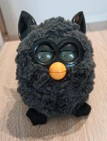 Furby schwarz, interaktives Spielzeug Nordrhein-Westfalen - Geldern Vorschau