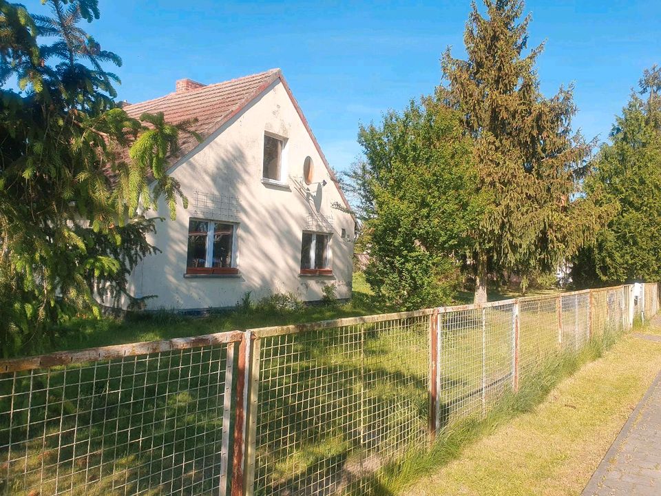 Haus mit Garten zu verkaufen Top Lage in Jessen (Elster)