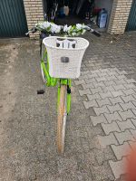 Fahrrad Damen Nordrhein-Westfalen - Straelen Vorschau