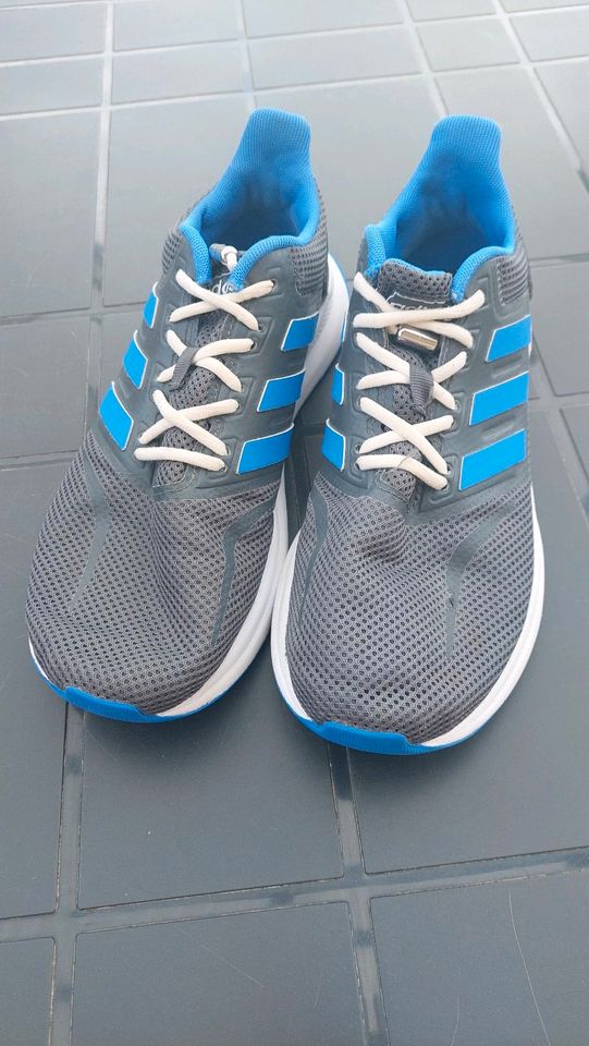 Turnschuhe Adidas Gr. 38 2/3d in Walldorf