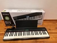 Roland GO 61 Piano Baden-Württemberg - Mühlacker Vorschau