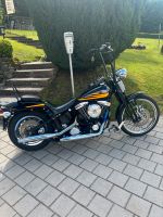 Harley Davidson Bad Boy Springer  1996 Evo Evolution Bayern - Falkenstein Vorschau