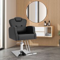 Friseurstuhl Friseursessel Salonstuhl Hydraulisch Bedienungsstuhl Hessen - Weilburg Vorschau