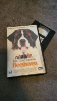 Beethoven VHS Sachsen - Seifhennersdorf Vorschau