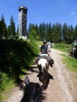 "Allgäuer HIghlights " Wanderreiten (geführt) im Allgäu Bayern - Buchenberg Vorschau