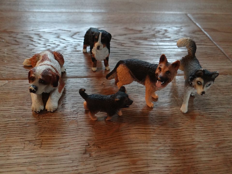 Schleich  5 Hunde im Set in Nienberge