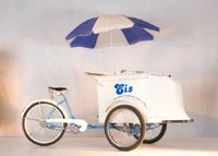 AKTIONSPREIS: EIS-RIKSCHA_EISFAHRRAD_Verkaufsrad_Lastenrad Sachsen - Lichtenstein Vorschau