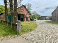 Scheunen-FLOHMARKT in Dannenberg (Wendland) Niedersachsen - Dannenberg (Elbe) Vorschau