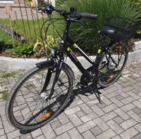 Damenfahrrad Pegasus 28 zoll Bayern - Kelheim Vorschau