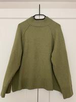 grüner Pullover Nordrhein-Westfalen - Blomberg Vorschau