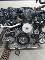 Motor Audi A6 A7 Q7 3.0 TDI CRT CRTC CRTD 272PS komplett Sachsen - Torgau Vorschau