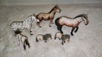 Schleich Appaloosa Familie Pferde Niedersachsen - Radbruch Vorschau