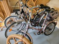 3 Fahrräder zusammen 25€ Niedersachsen - Bad Sachsa Vorschau