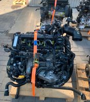 VW Audi Seat Skoda 2,0 TDI DFE Motor Triebwerk Engine Nordrhein-Westfalen - Dorsten Vorschau