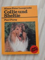 Collie und Sheltie Buch - NEU Niedersachsen - Helmstedt Vorschau