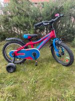 Kinderfahrrad blau rot 3-5 Jahre Münster (Westfalen) - Gelmer Vorschau