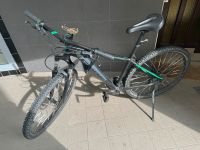 Cube Aim Mauntainbike Fahrrad Schwarz/Grün 29 Zoll Niedersachsen - Hildesheim Vorschau