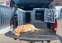 XXL Osswald-TEC Hundebox mit Schublade/Hunde Transportbox Baden-Württemberg - Göppingen Vorschau