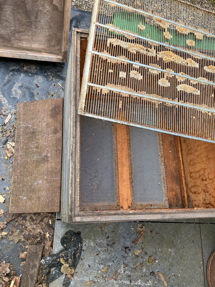 Dadant Beute aus Holz mit Honigraum und Rähmchen in Detmold