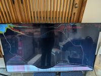 Fernseher Telefunken D70V850M5CWH Defekt an Bastler Nordrhein-Westfalen - Waltrop Vorschau