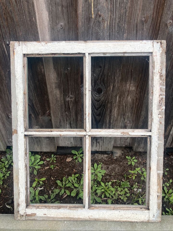 Antikes Sprossenfenster ohne Scheiben in Preetz