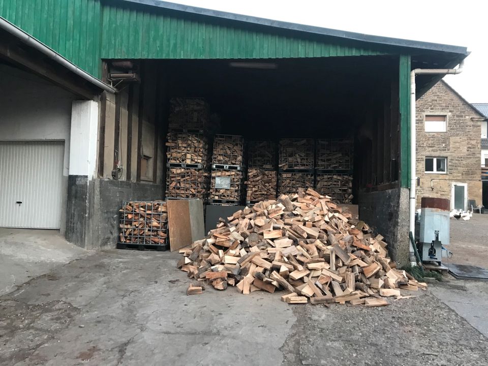 Kaminholz Brennholz Kammer getrocknet TROCKEN Buche Esche in Dortmund