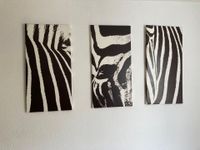 3 Wand Bilder ZEBRA Afrika Dekoration 80x40 Holzrahmen Topzustand München - Schwabing-West Vorschau