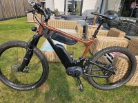 E-MTB Riese & Müller Delite Mountain Elektro Mountainbike. 1000Wh Niedersachsen - Wietmarschen Vorschau