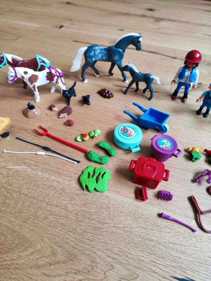 Playmobil Country Adventskalender Pferde Igel Pony in Eching (Kr Freising)