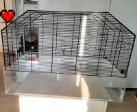 Hamsterkäfig 75x45x52 Nagetier nagarium Käfig Nager Nordrhein-Westfalen - Neuss Vorschau