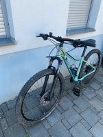 Mountainbike Damen/Teenager Rheinland-Pfalz - Worms Vorschau