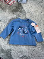 Baby Langarmshirt Kanz 62 Delfin neu Niedersachsen - Salzgitter Vorschau