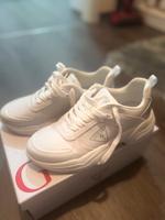 Guess Sneaker Bayern - Augsburg Vorschau