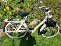 Der Hingucker Velo Solex im Preis gesenkt Saarland - Friedrichsthal Vorschau