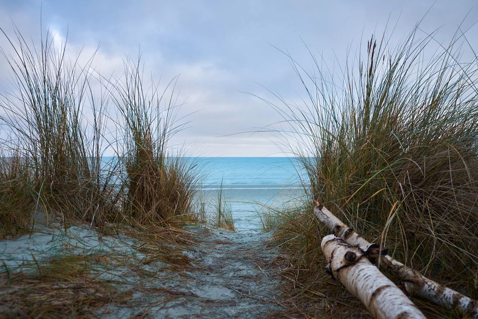 Meer, Strand, Erholung: Ferienwohnung "Hühnergott" in Prora in Ostseebad Binz