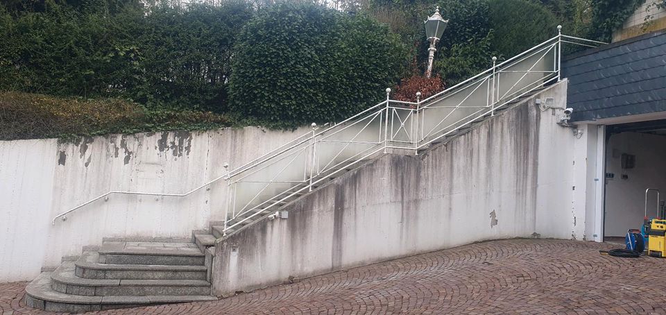 Gartenbau Gartenpflege Gärtner Rollrasen Heckenschnitt in Oberursel (Taunus)