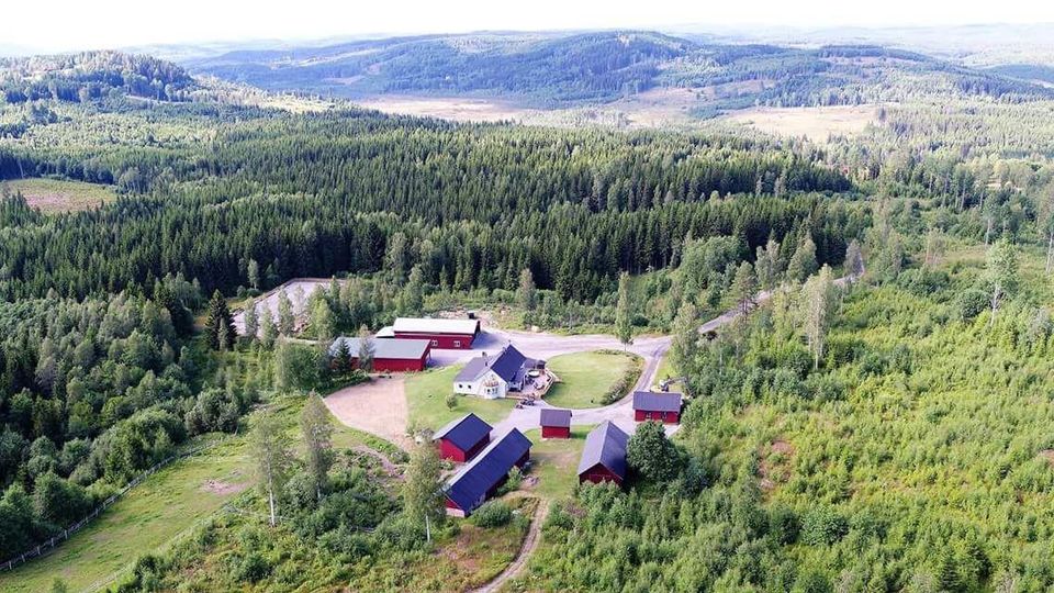 Schweden Outdoor Alleinlage Jäger Pferde Reiter Paradies Anwesen in Putgarten