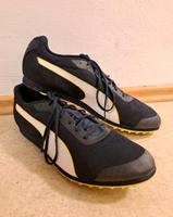 Puma Evo Speedstar 6 Spikes Laufschuhe Gr. 46 Leichtathletik Kr. Dachau - Dachau Vorschau