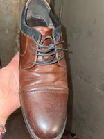 Herren Schuhe Friedrichshain-Kreuzberg - Friedrichshain Vorschau
