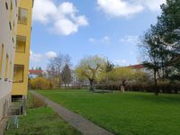 Sehr schöne 3-Raum- Wohnung in ruhiger Lage in Dresden Striesen Dresden - Striesen-Ost Vorschau