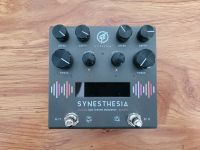 GFI Synesthesia Modulation Delay Reverb Pedal Effekt Thüringen - Jena Vorschau