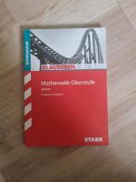 Mathematik Oberstufe - Claudia Hagan München - Ramersdorf-Perlach Vorschau