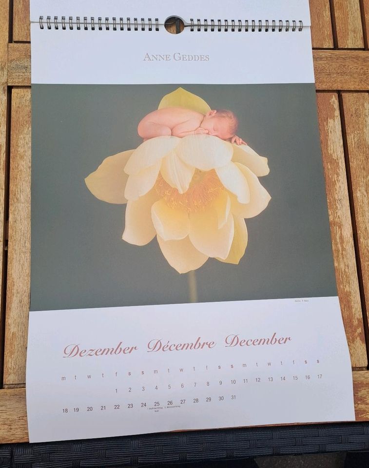 Anne Geddes Wandkalender 2006 in St Gangloff