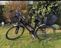 Winora Orinoco Damenrad 28 Zoll mit Fahrradkörbe Bayern - Bergrheinfeld Vorschau