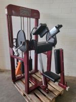 GALAXY SPORT TRICEPS MACHINE GYM OLDSCHOOL 80 TRIZEPS KRAFTGERÄT Nordrhein-Westfalen - Senden Vorschau