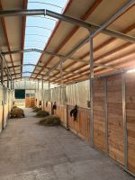 Pferdebox, Paddockbox, Boxen zu vermieten Niedersachsen - Menslage Vorschau