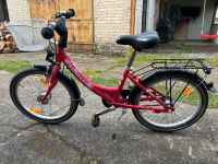 Fahrrad 20“ Brandenburg - Eberswalde Vorschau