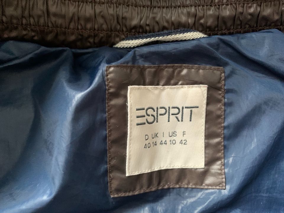 Esprit Winterjacke Steppjacke Damen Gr. 40 braun in Beilstein