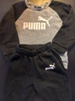 Puma Jogging-Anzug 98 Münster (Westfalen) - Centrum Vorschau